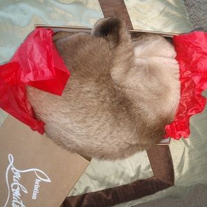 Meet your Posher, Erika